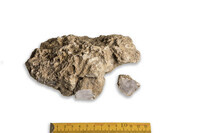 F 08881
<br/>
<br/>
<em></em>